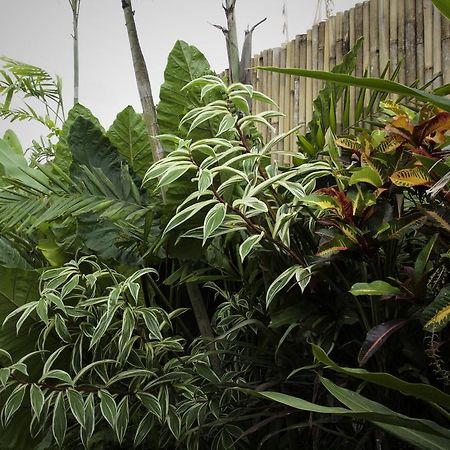 Dugul Ubud Ngoại thất bức ảnh