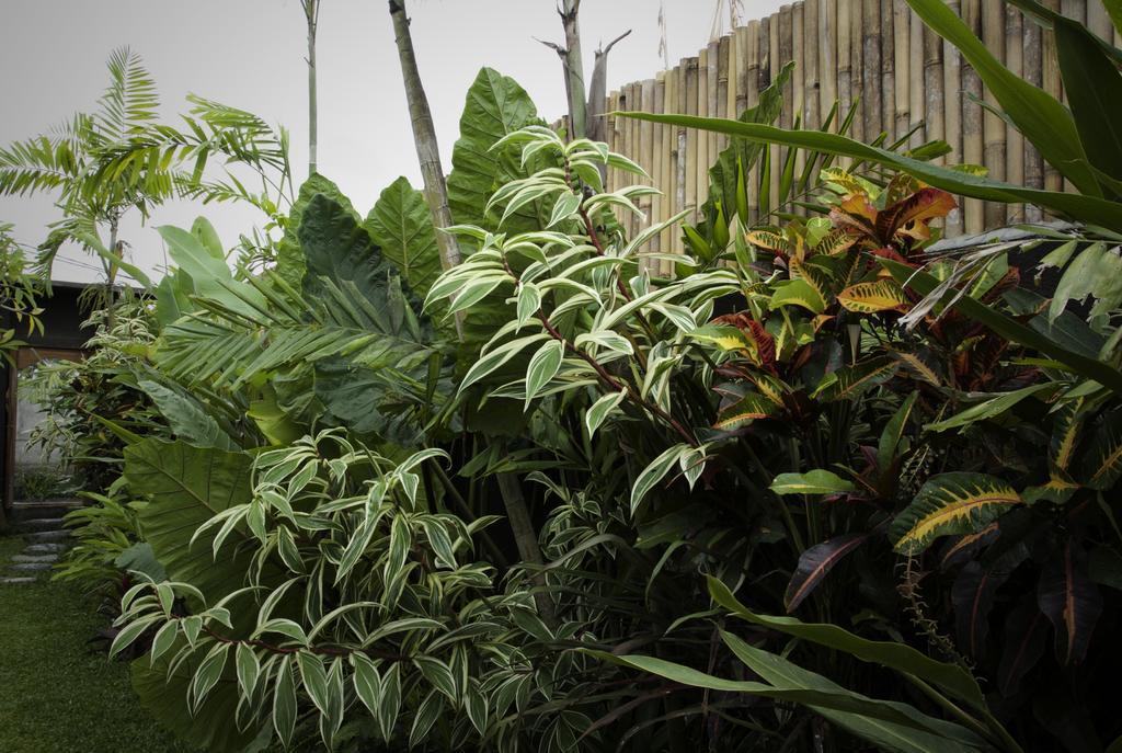 Dugul Ubud Ngoại thất bức ảnh