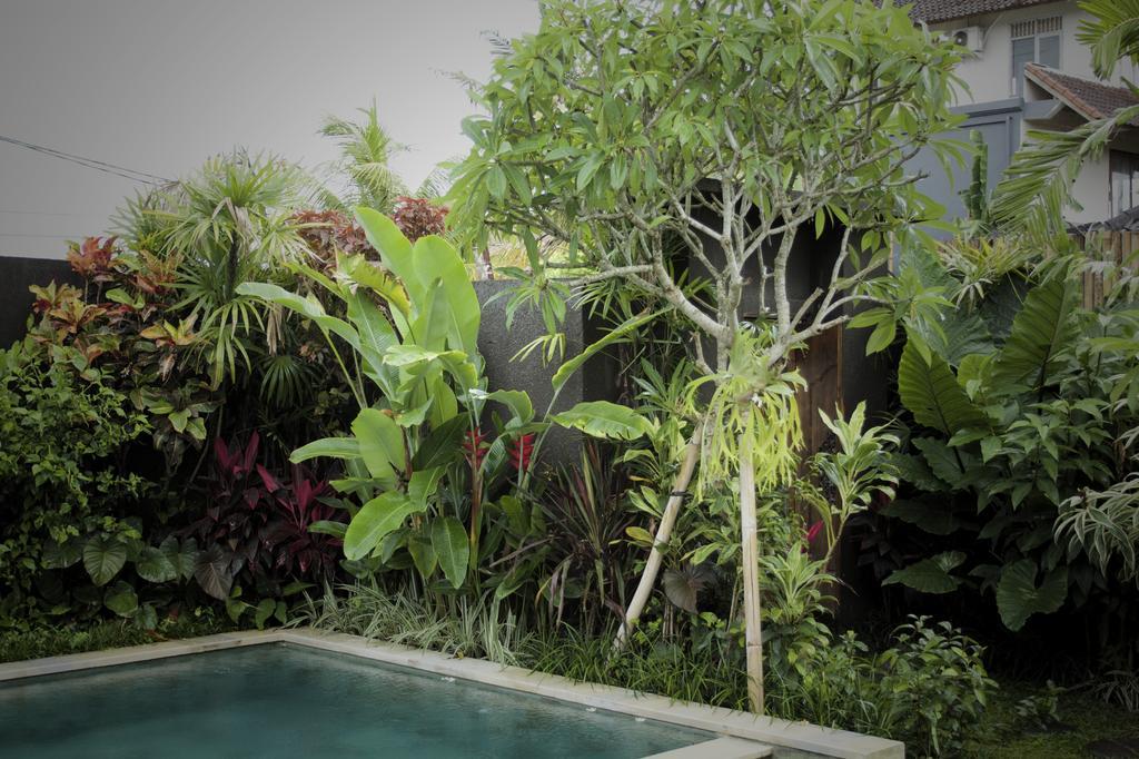 Dugul Ubud Phòng bức ảnh