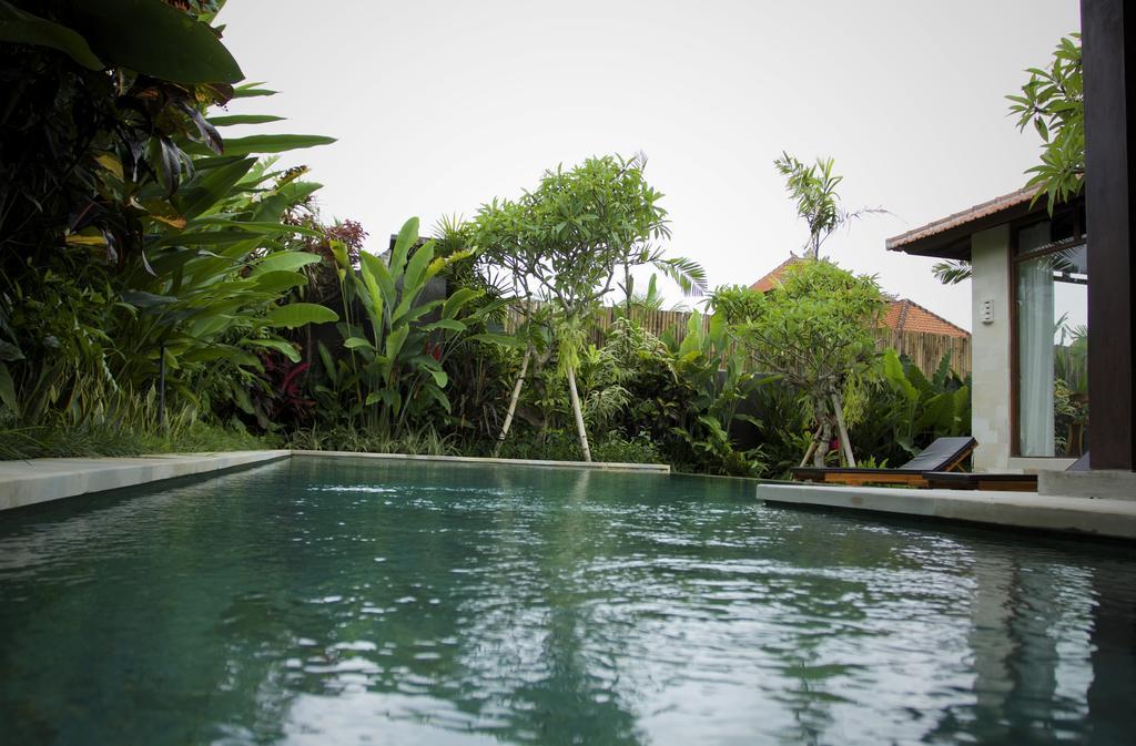 Dugul Ubud Phòng bức ảnh