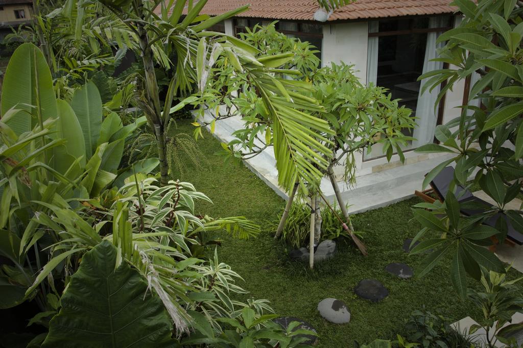 Dugul Ubud Phòng bức ảnh